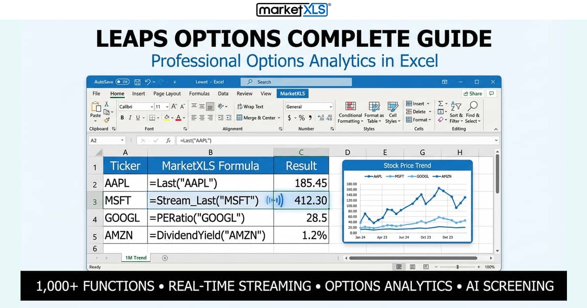 LEAPS options strategy analysis showing long-term call and put contracts in Excel with MarketXLS