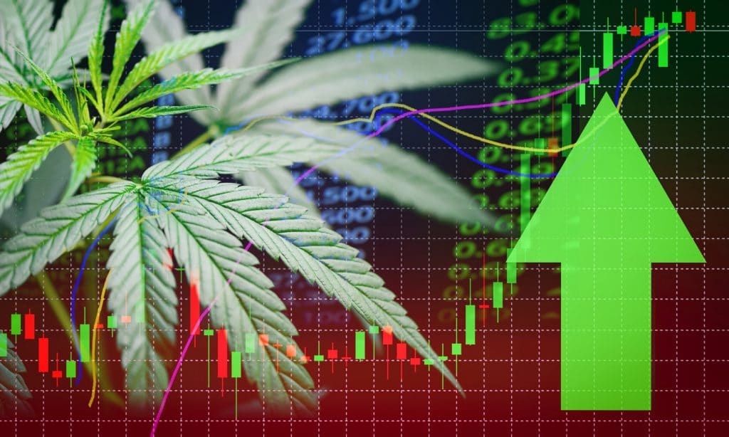 Investing In Cannabis Stocks & Cryptocurrencies