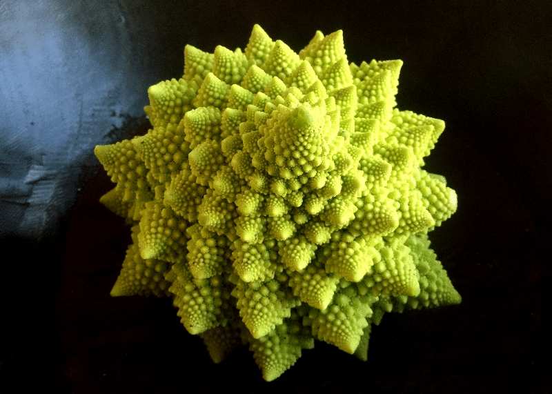 fractal occurring in nature
romanesco broccoli
elliott wave theory
